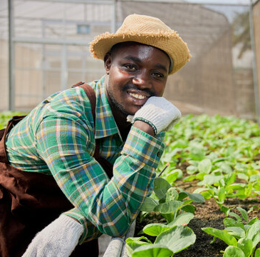 Austin Nt Profile Picture